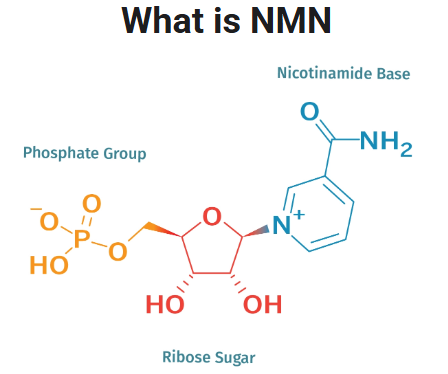 스크린샷 2025-12-23 112543.png